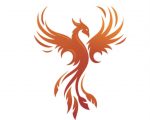 PHÉNIX SERVICES 36 – SABRINA KROUMI
