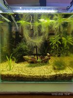 JESS AQUANATURE 36 – JESSICA CHEDZEIR