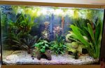 JESS AQUANATURE 36 – JESSICA CHEDZEIR