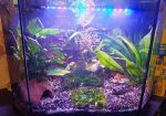 JESS AQUANATURE 36 – JESSICA CHEDZEIR